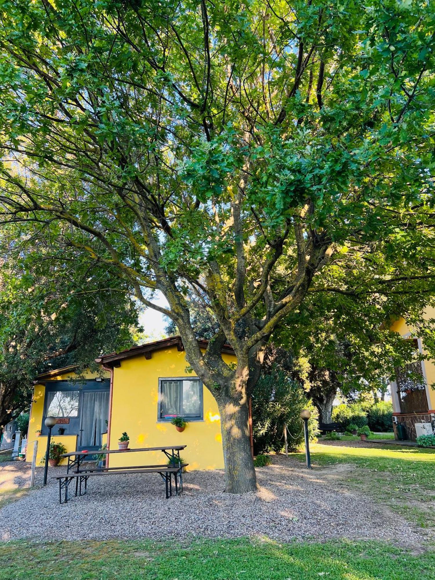 Il Melarancio Bed & Breakfast Pescia Romana Luaran gambar