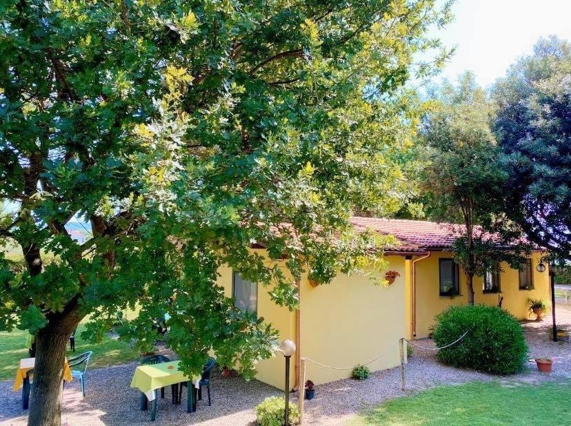 Il Melarancio Bed & Breakfast Pescia Romana Luaran gambar